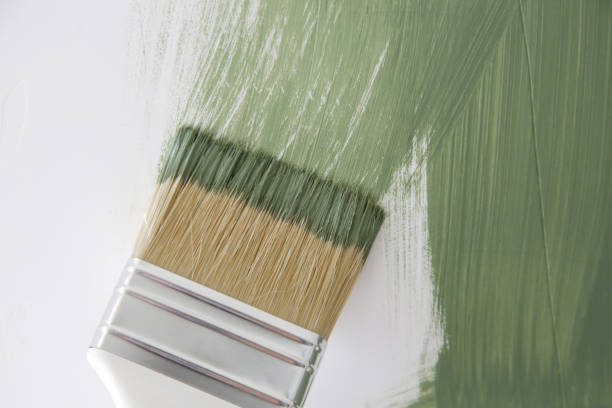 Best Residential Painting  in Carrollwood, FL